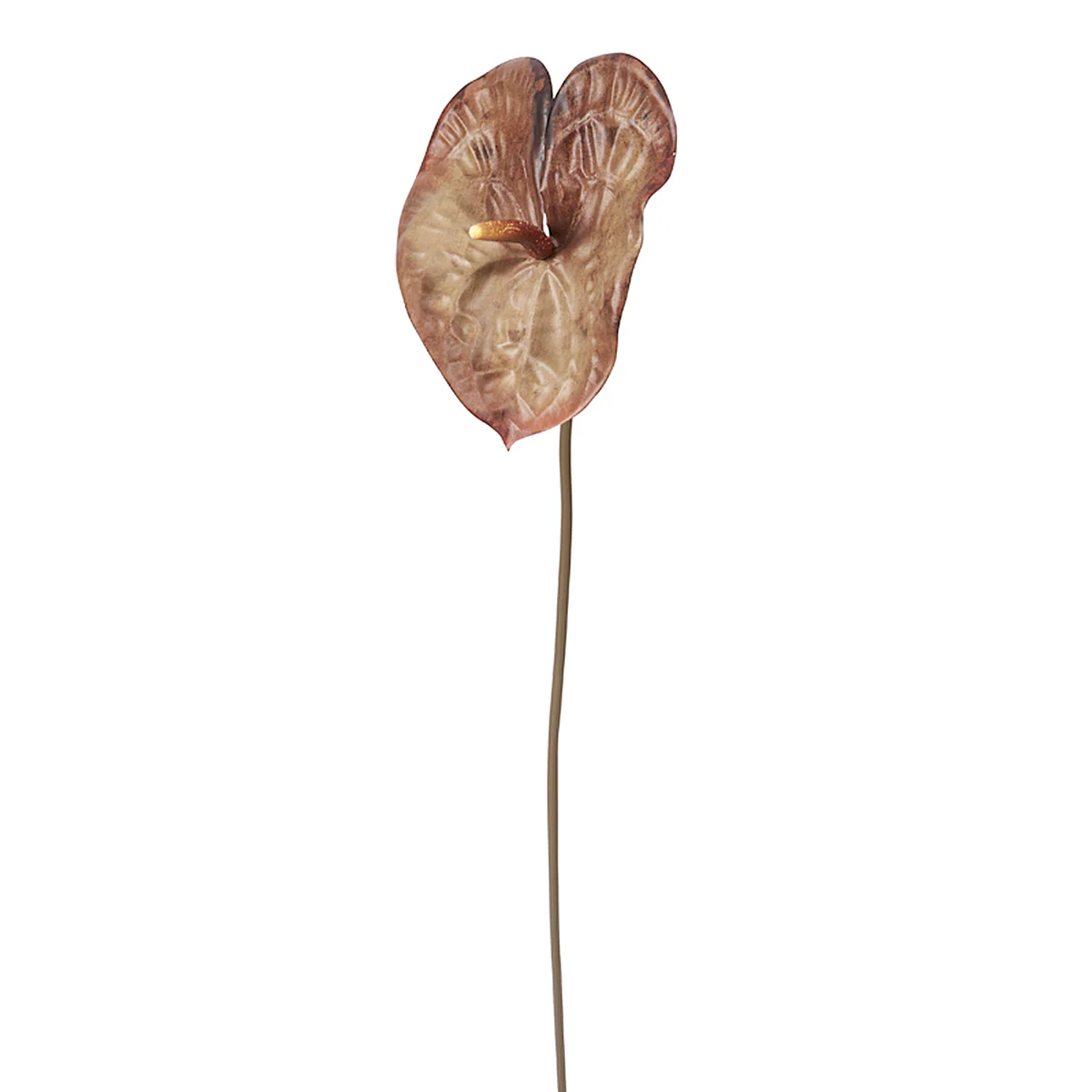 Tige d'Anthurium Ombré - Image 3