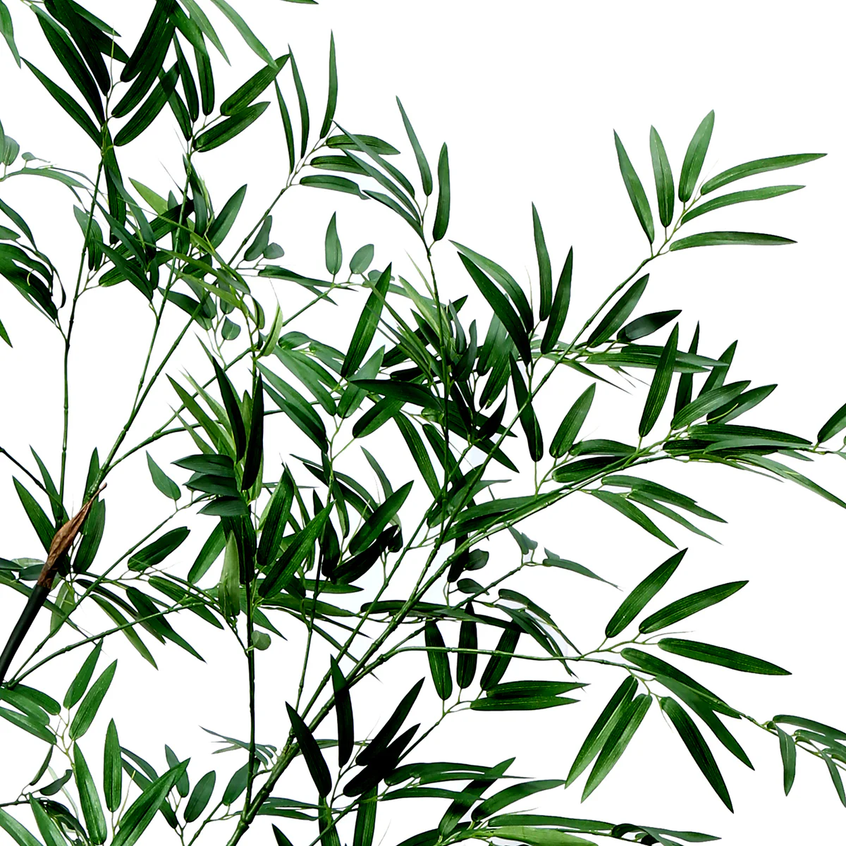 Arbre Bambou en Pot 210cm - Image 3