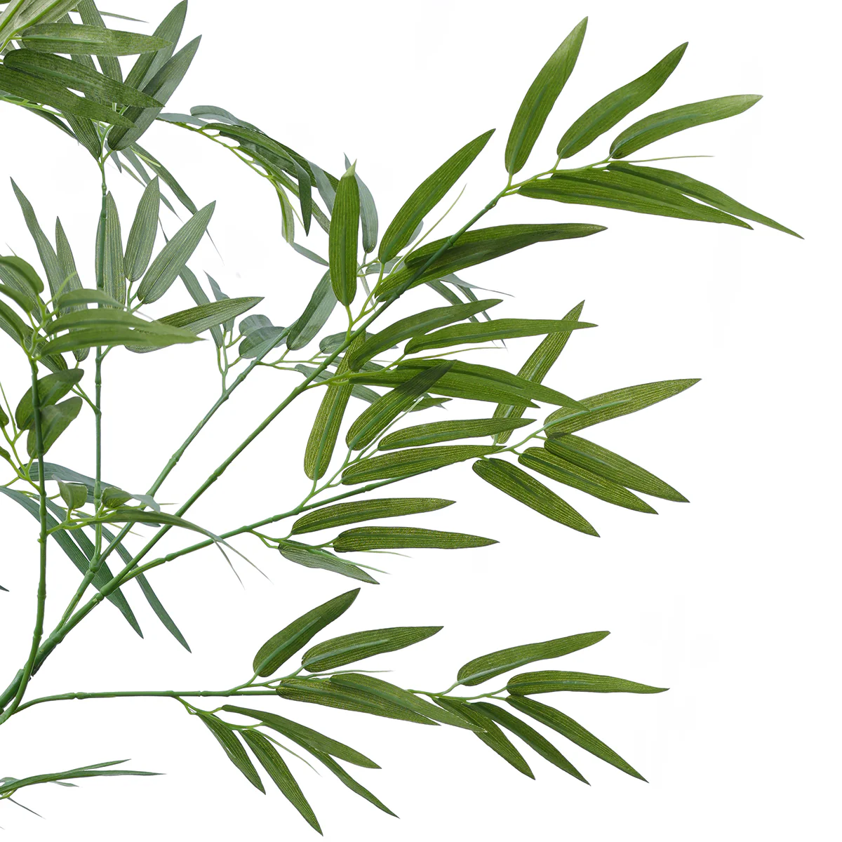 Arbre Bambou en Pot 210cm - Image 4