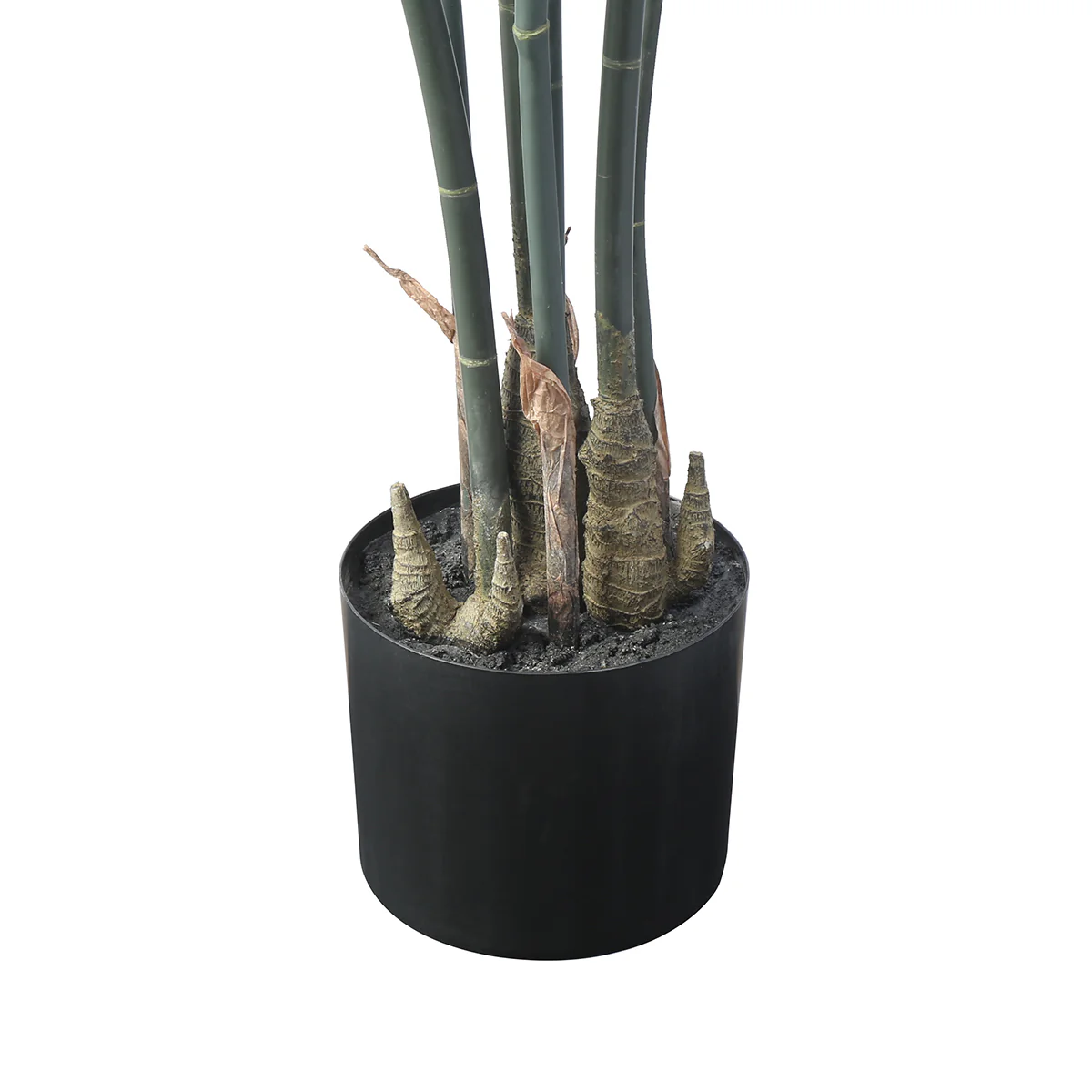 Arbre Bambou en Pot 210cm - Image 5