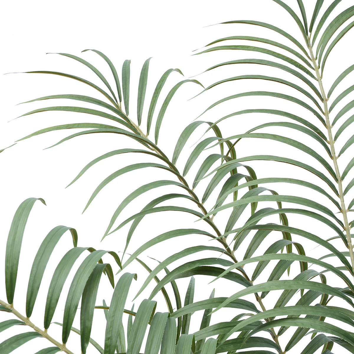 Arbre Palmier Areca en Pot 120 cm - Image 3