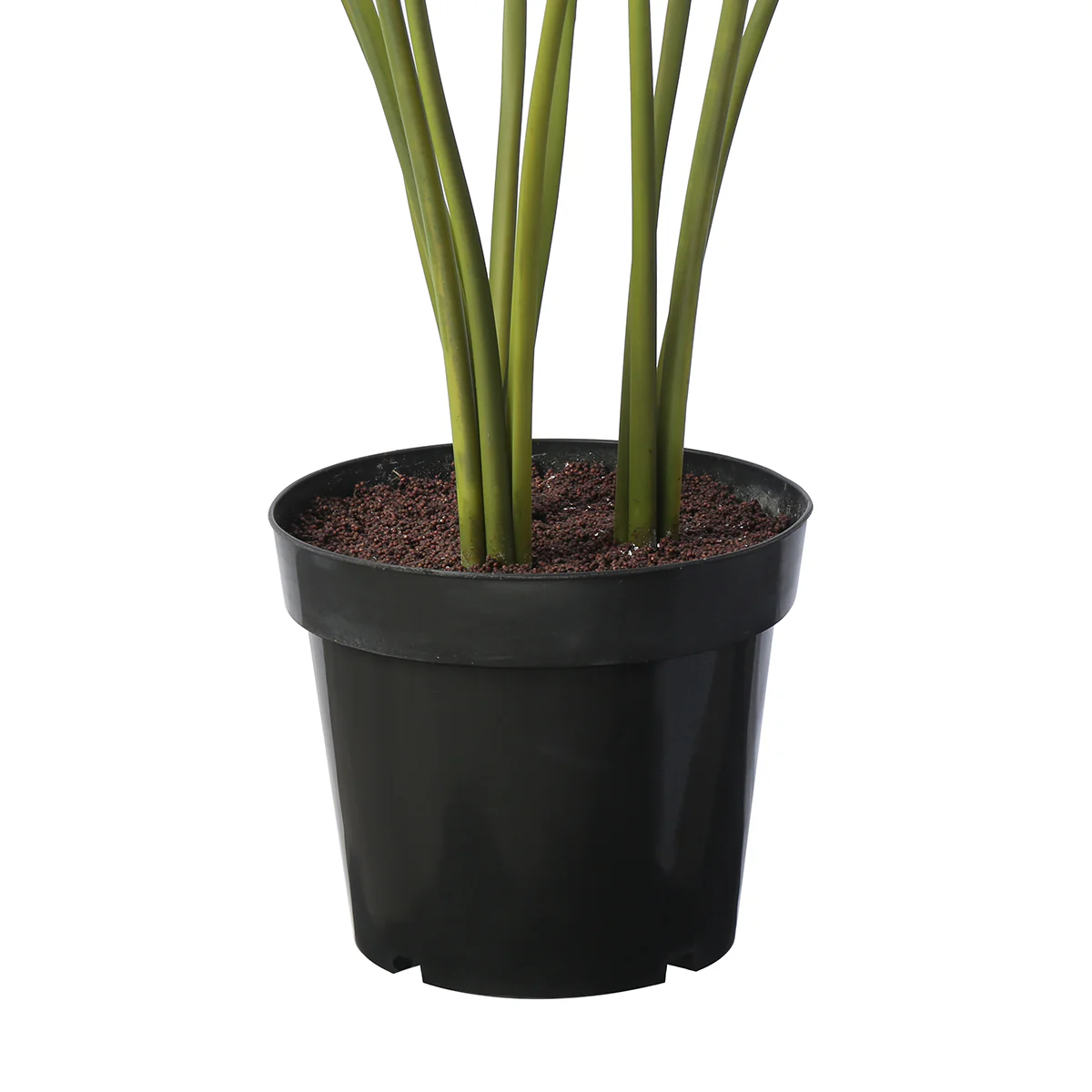 Arbre Palmier Areca en Pot 120 cm - Image 4