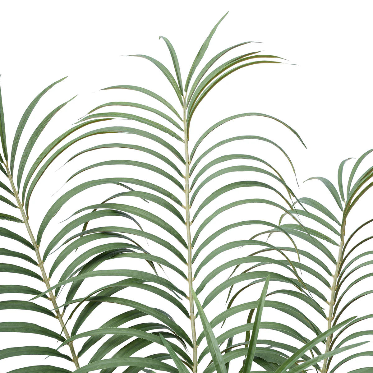 Arbre Palmier Areca en Pot 180 cm - Image 3