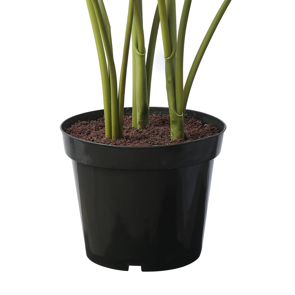 Arbre Palmier Areca en Pot 180 cm - Image 4