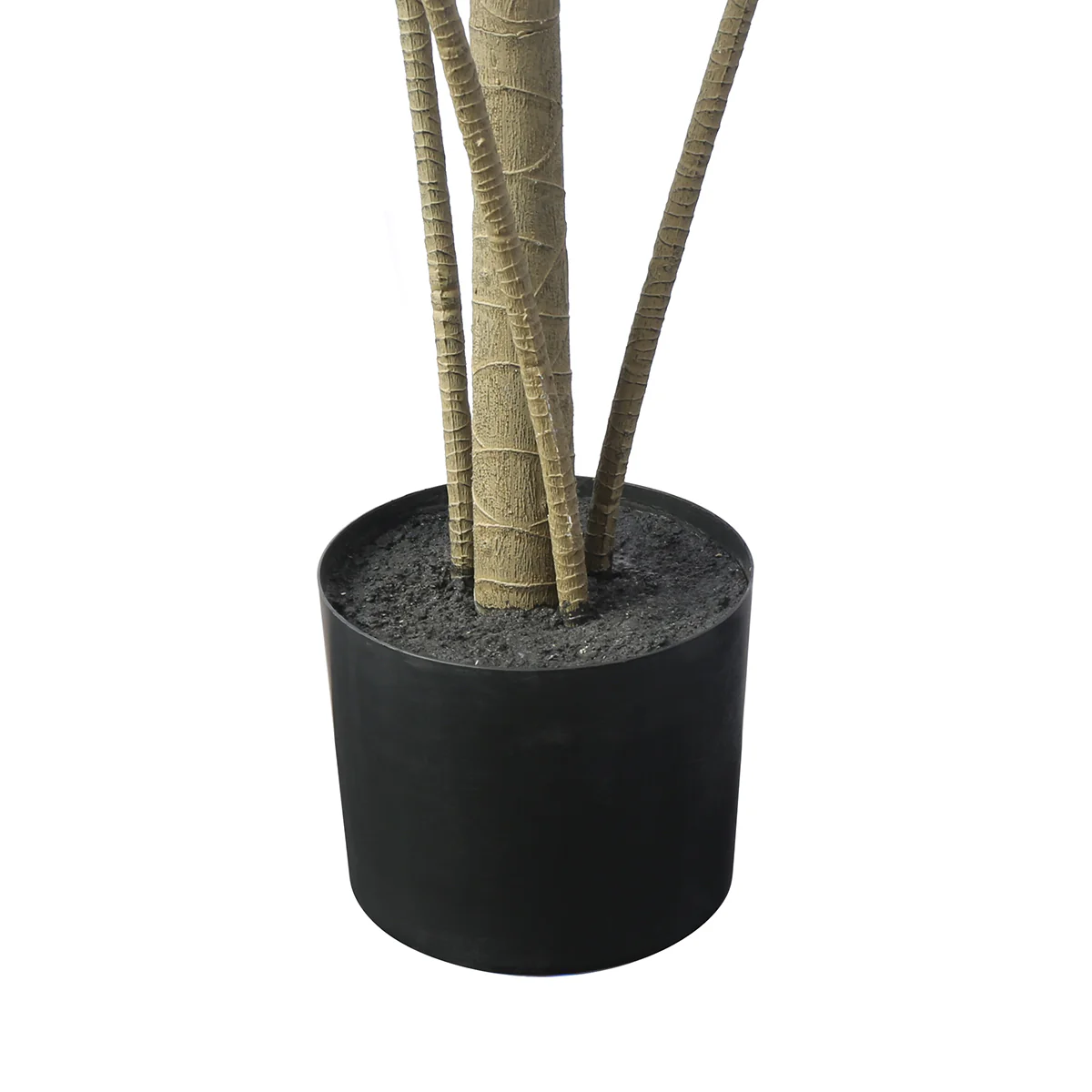 Arbre Yucca en Pot 190 cm - Image 3
