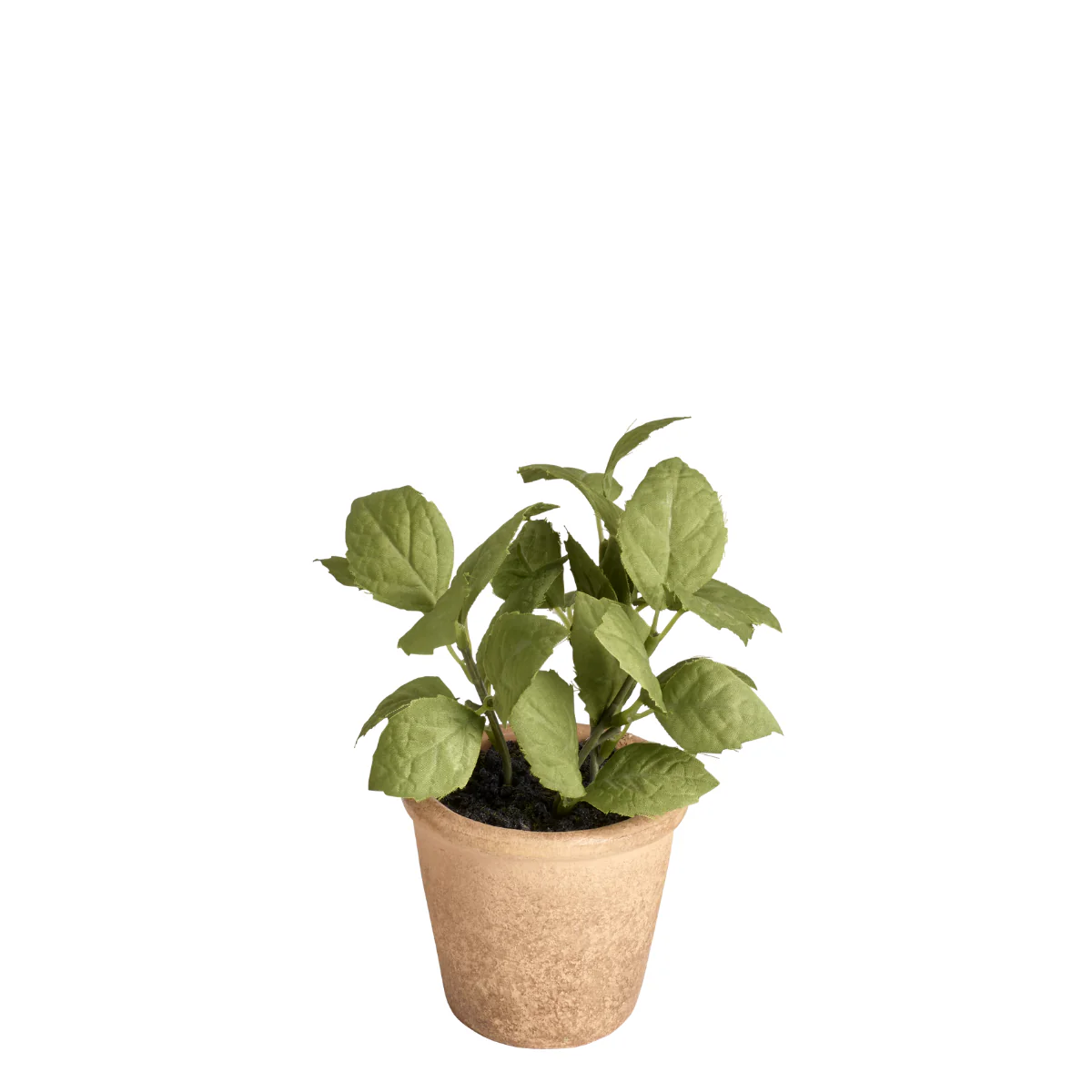 Miniature 1
