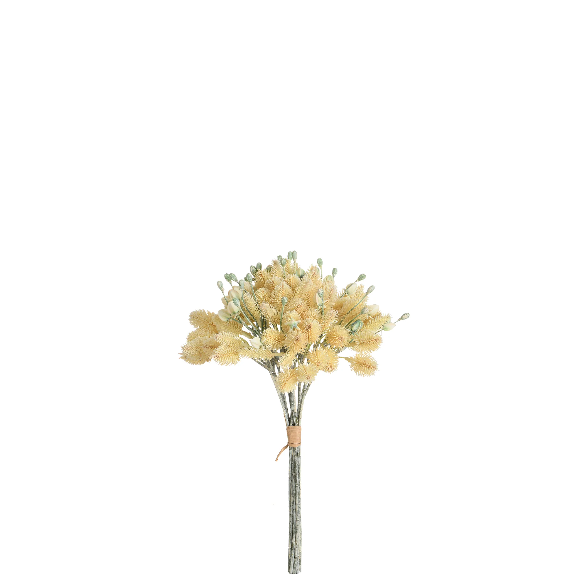 Bouquet de Chardon 40 cm