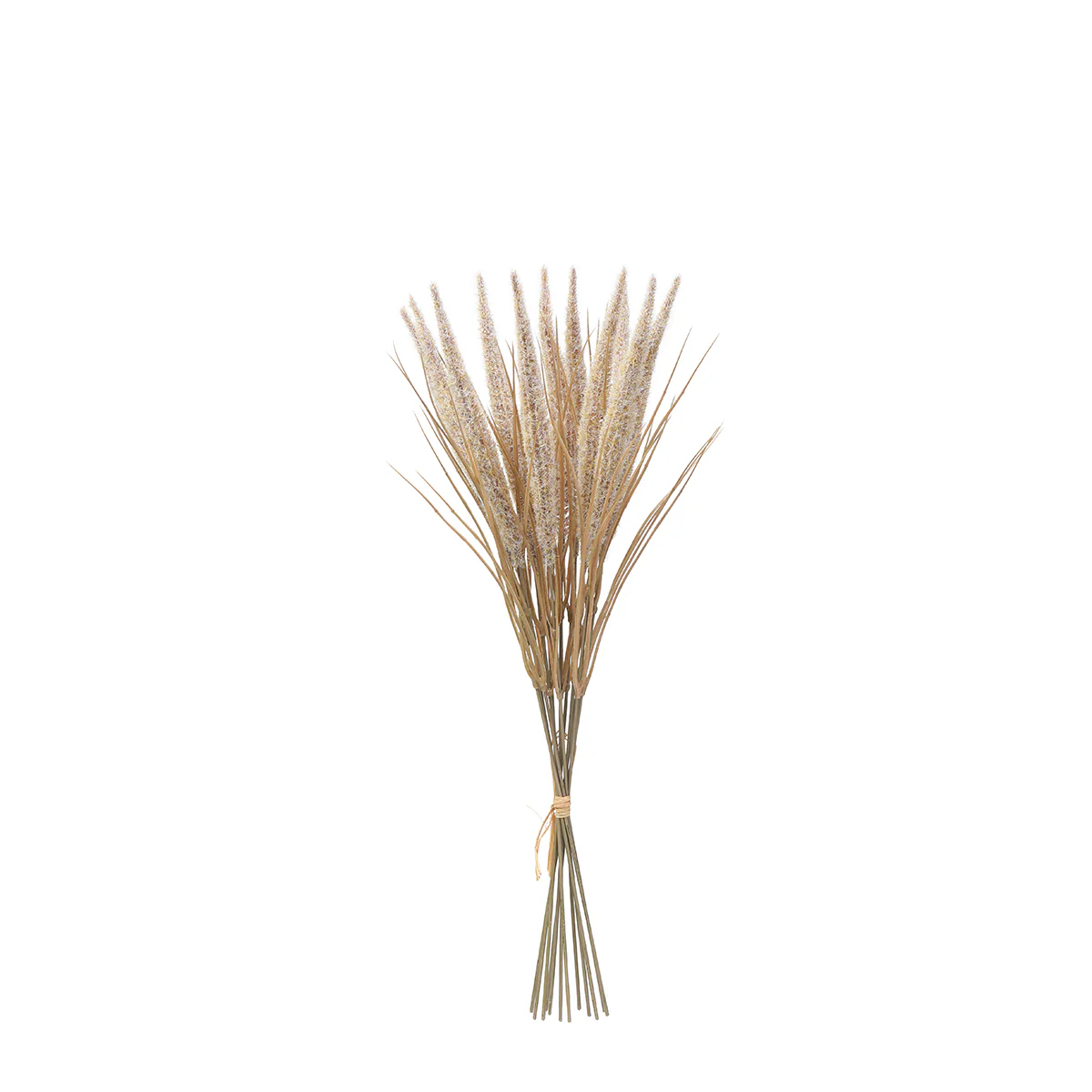 Bouquet de Pampa 12 tiges 50 cm - Image 11