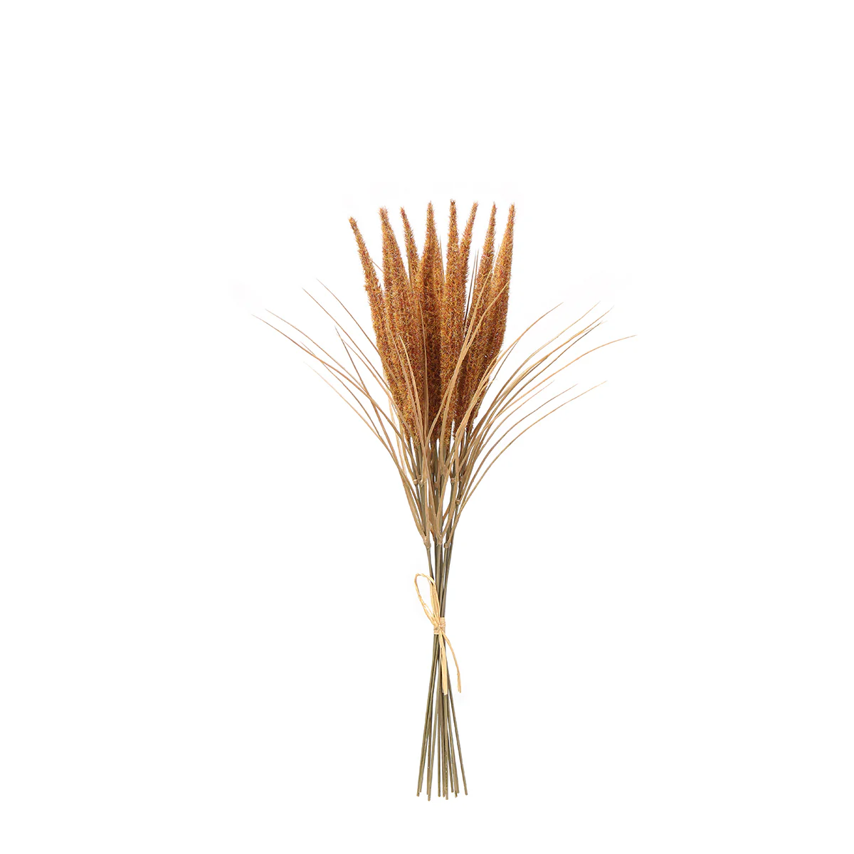 Bouquet de Pampa 12 tiges 50 cm - Image 17