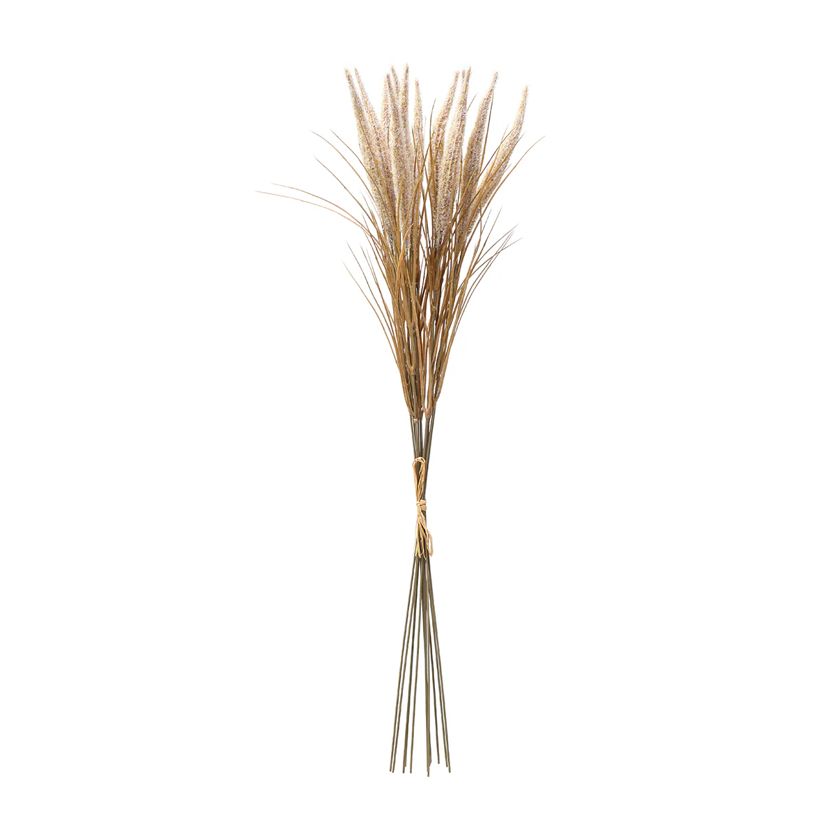 Bouquet de Pampa 12 tiges 80 cm - Image 11