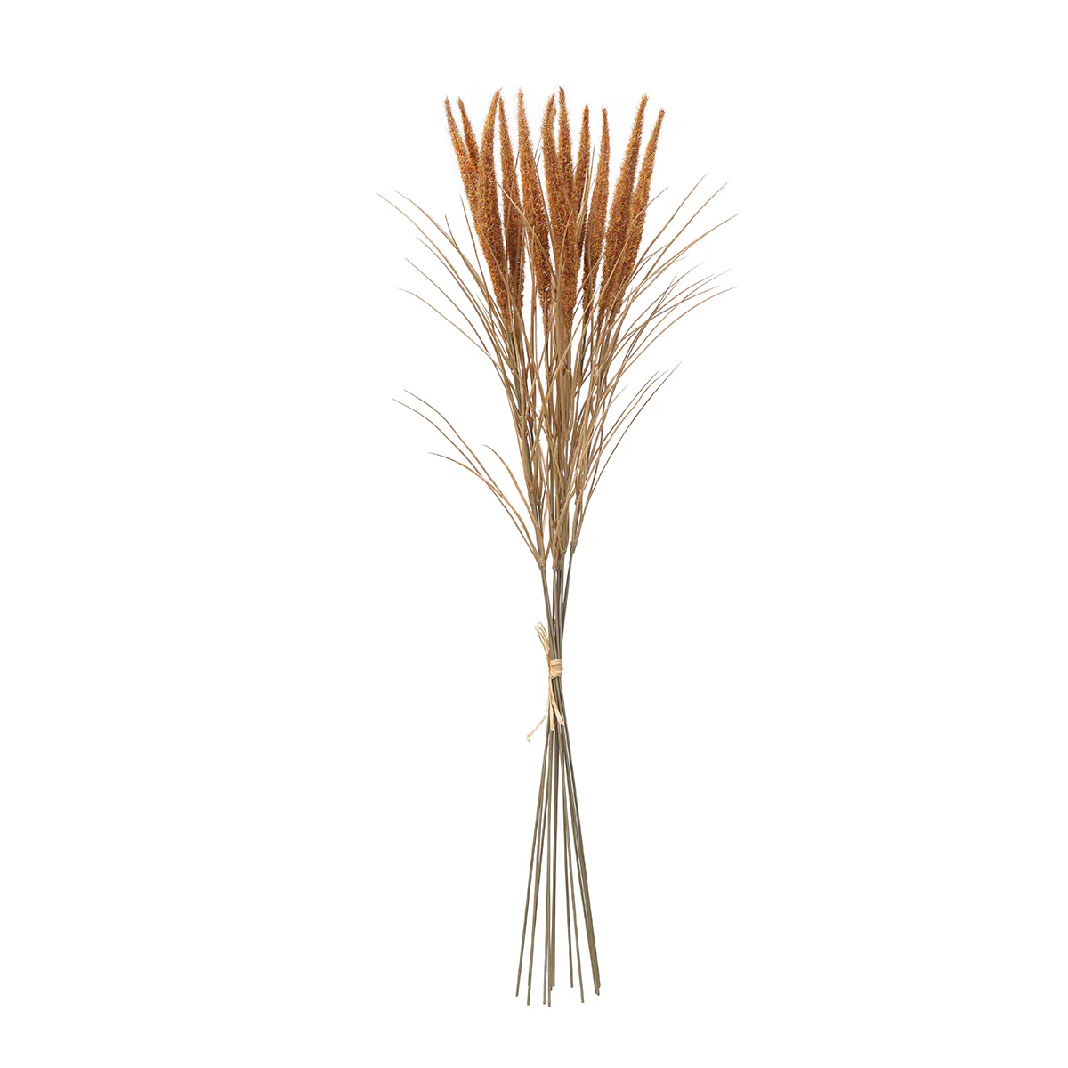 Bouquet de Pampa 12 tiges 80 cm - Image 17