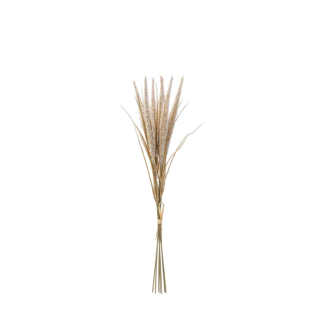 Bouquet de Pampa 7 tiges 50 cm - Image 11