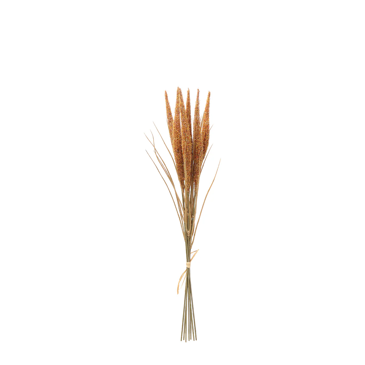 Bouquet de Pampa 7 tiges 50 cm - Image 17