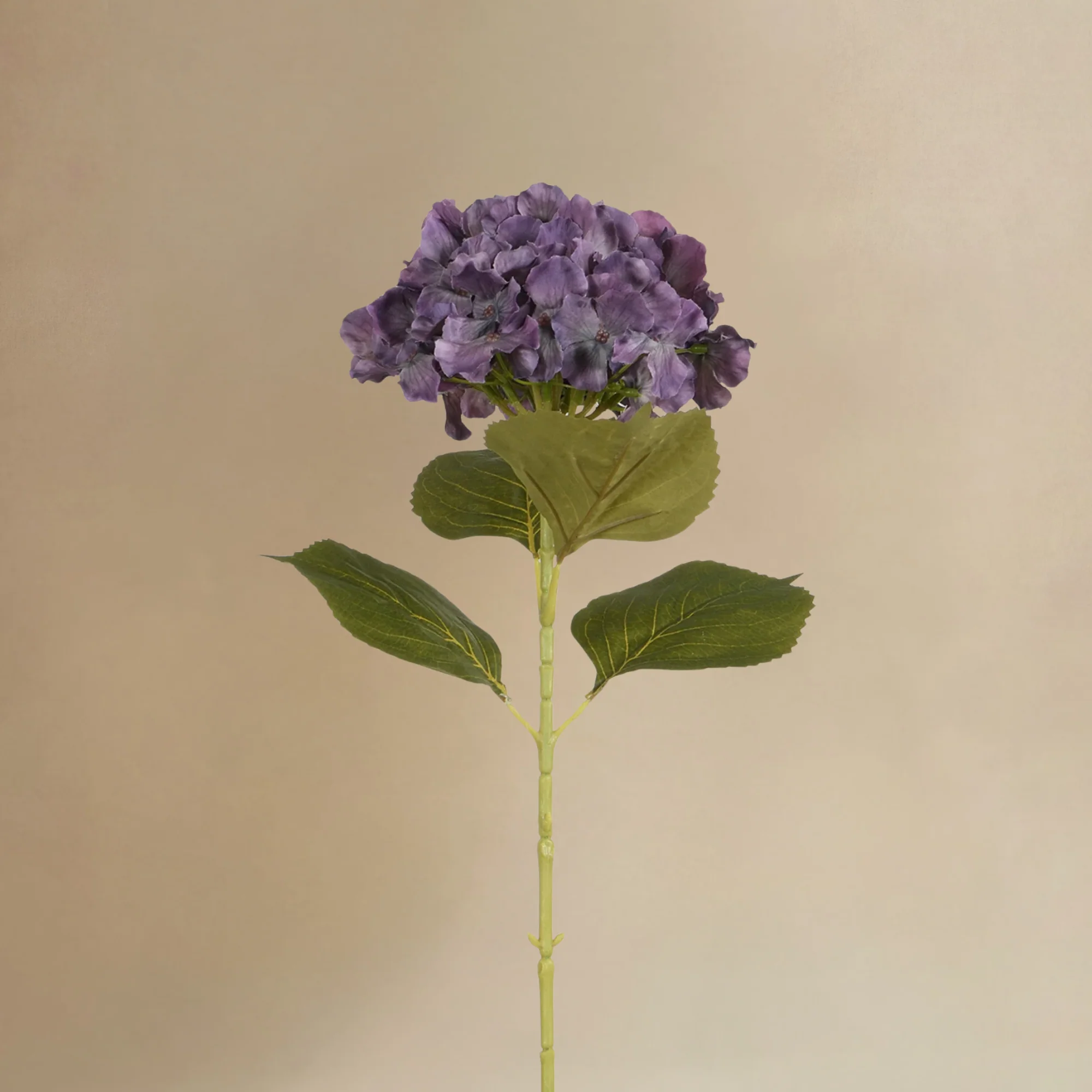Bouquet d'Hortensias Bloom - Image 4