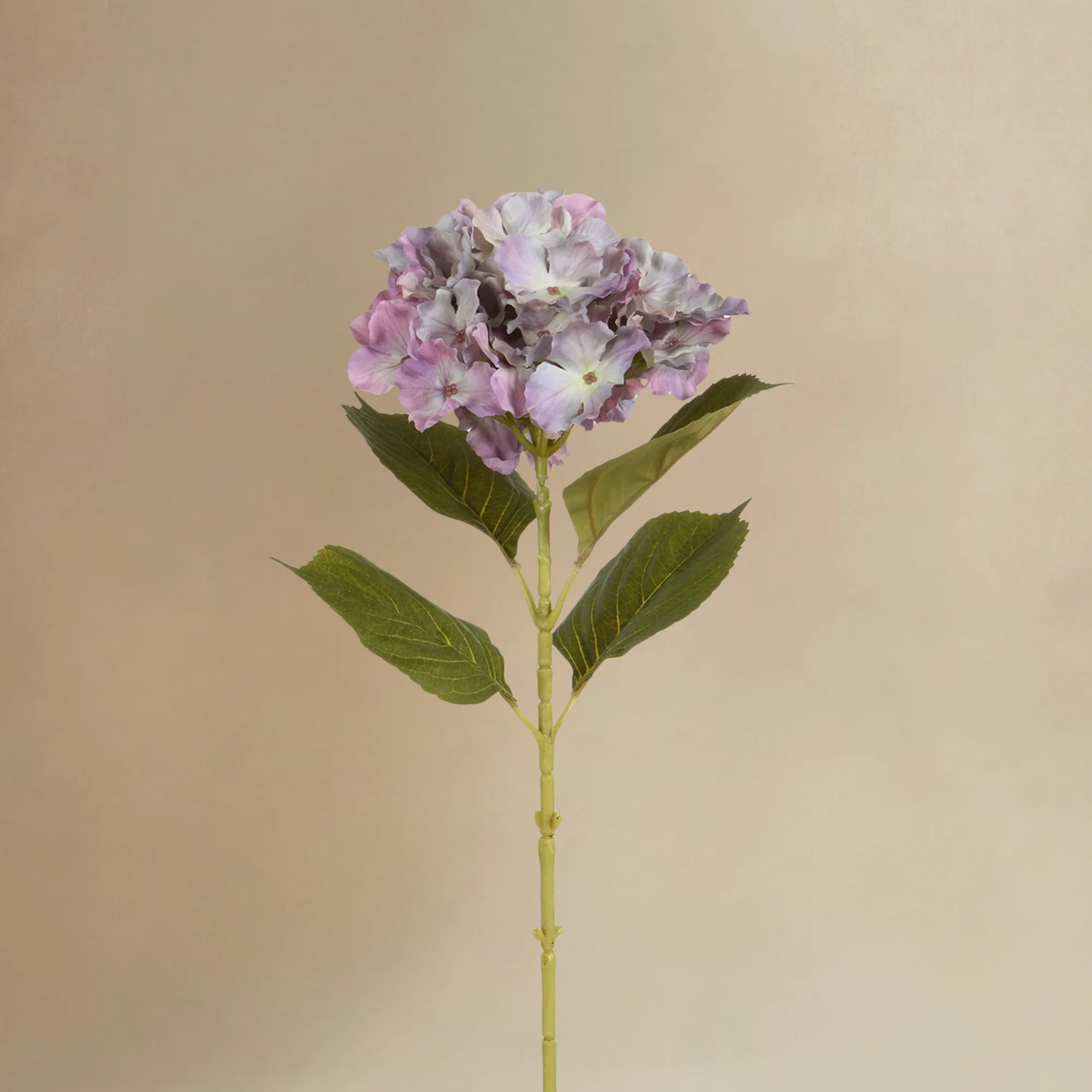 Bouquet d'Hortensias Bloom - Image 5