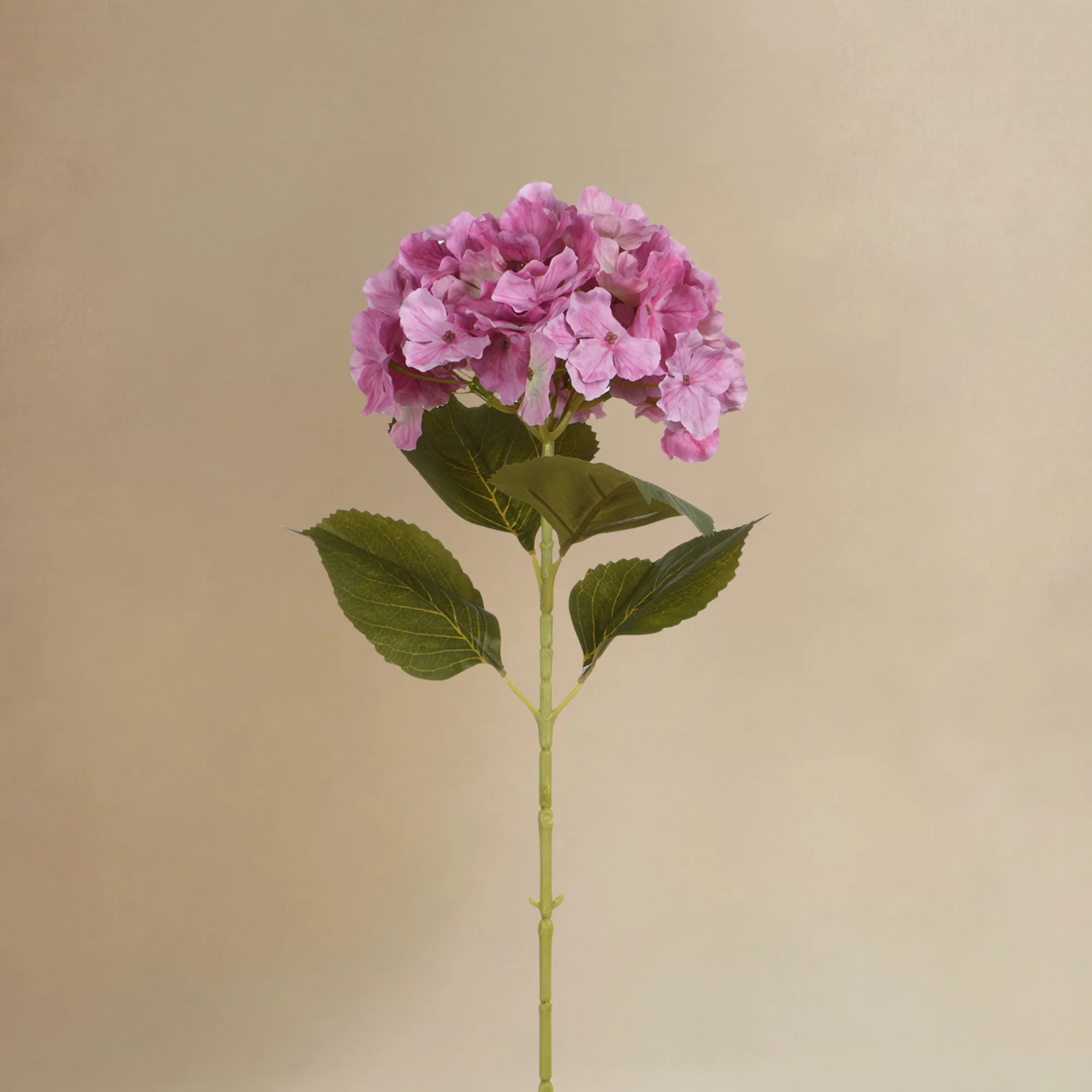 Bouquet d'Hortensias Rosalia - Image 4