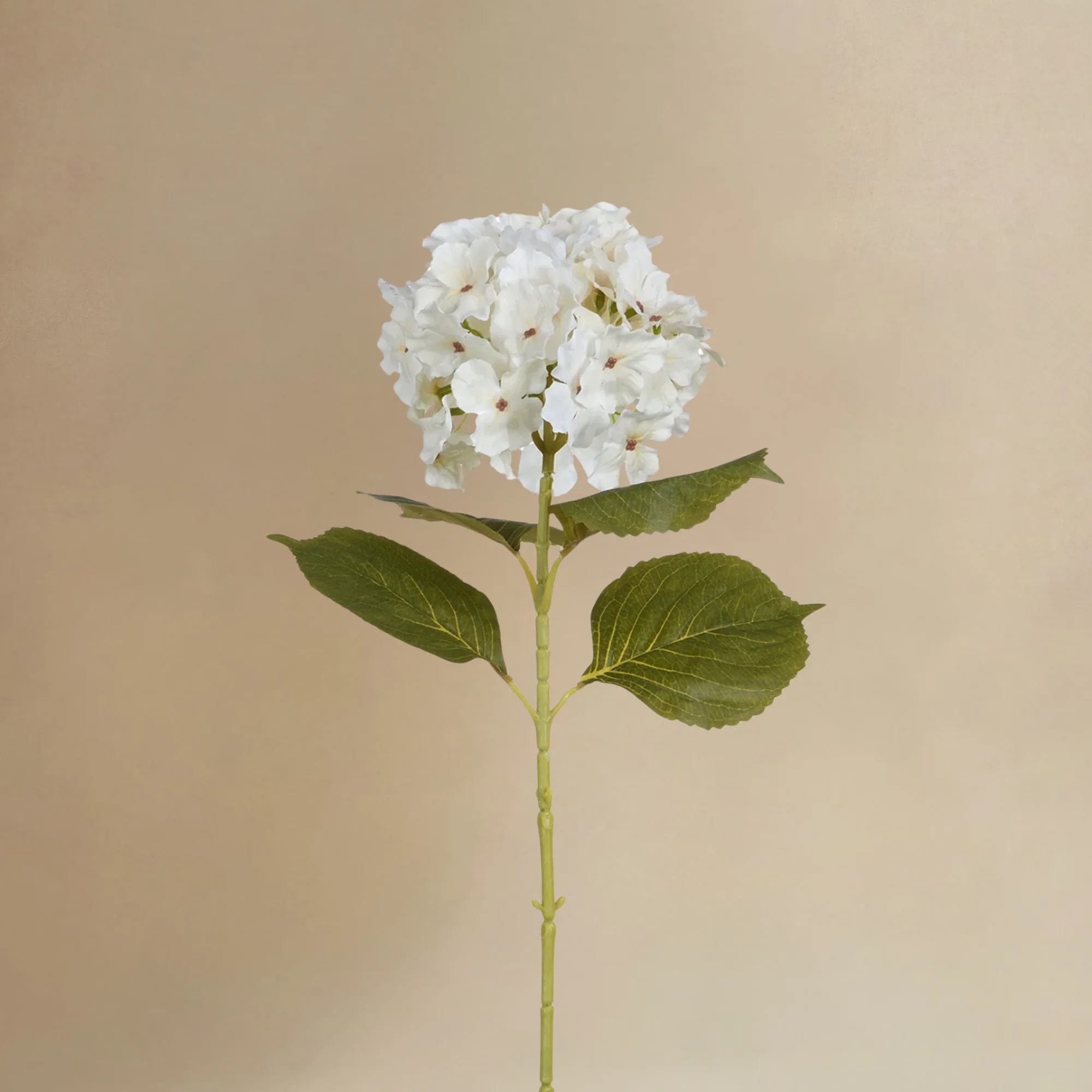 Bouquet d'Hortensias Rosalia - Image 6