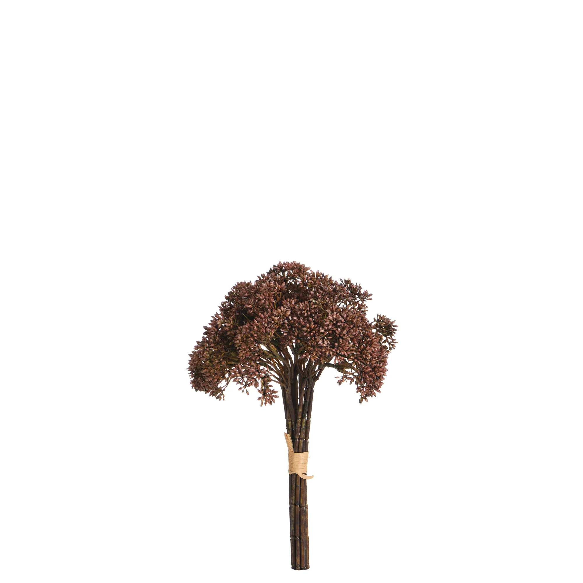 Bouquet d'Orpin 30 cm - Image 4