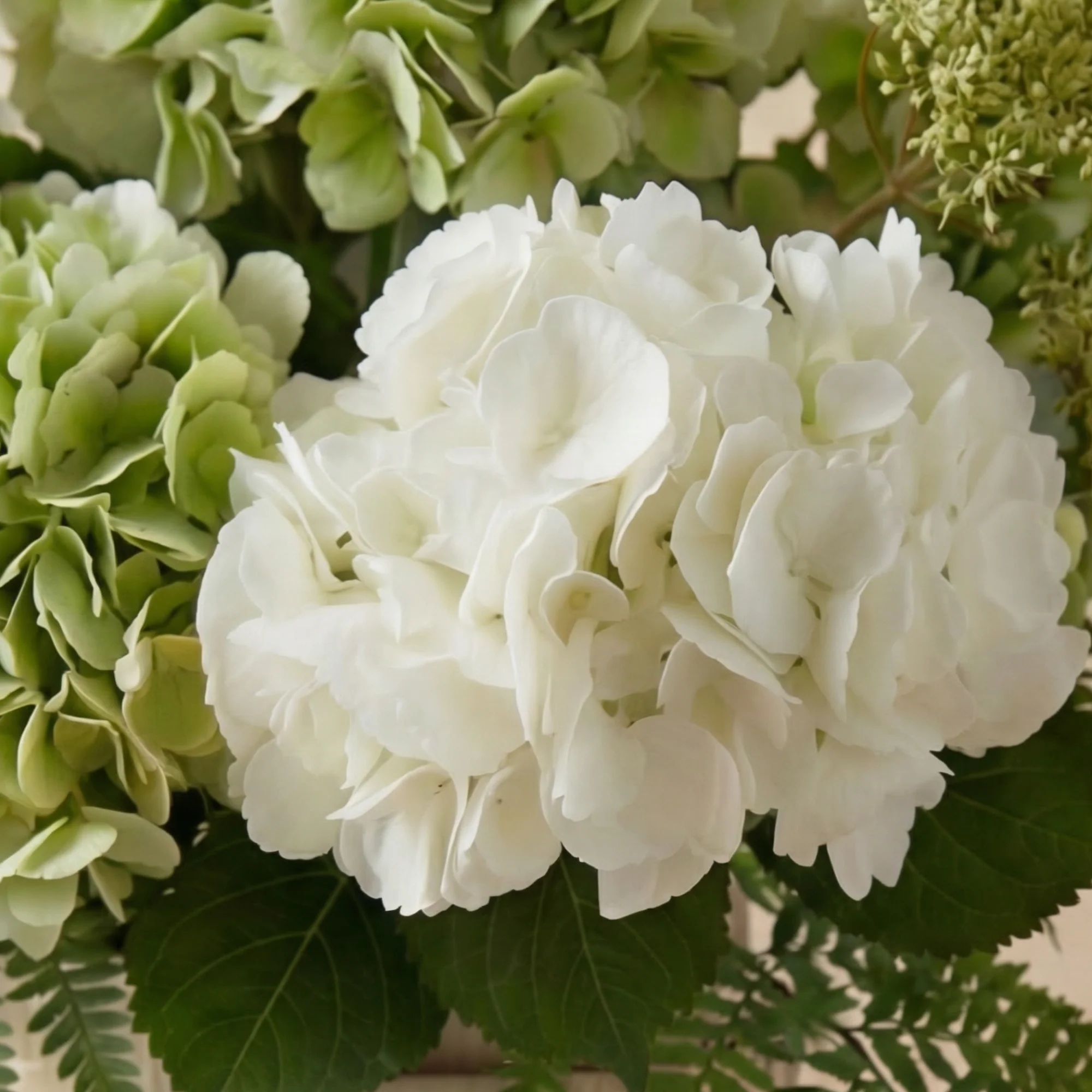 Bouquet d'Hortensias Élora - Image 4