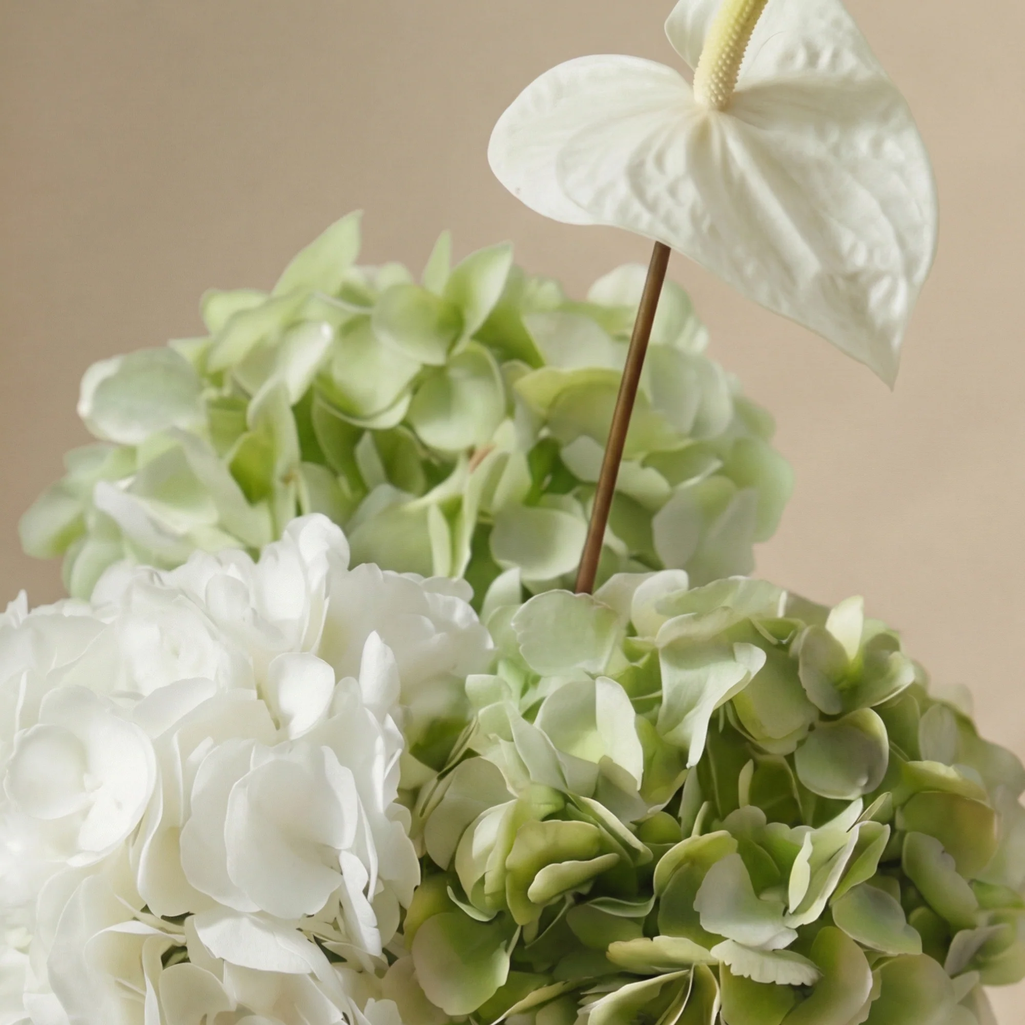 Bouquet d'Hortensias Floréa - Image 3