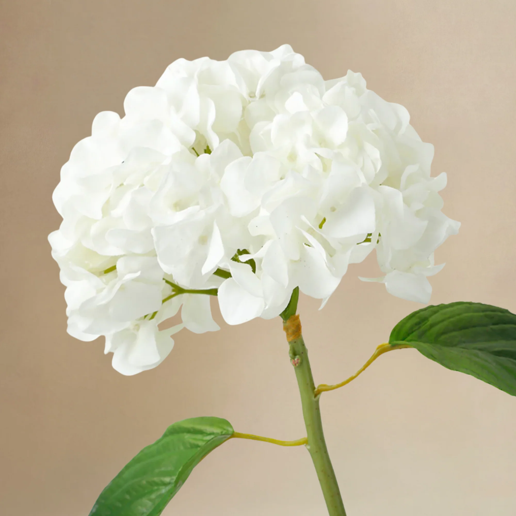 Bouquet d'Hortensias Floréa - Image 6