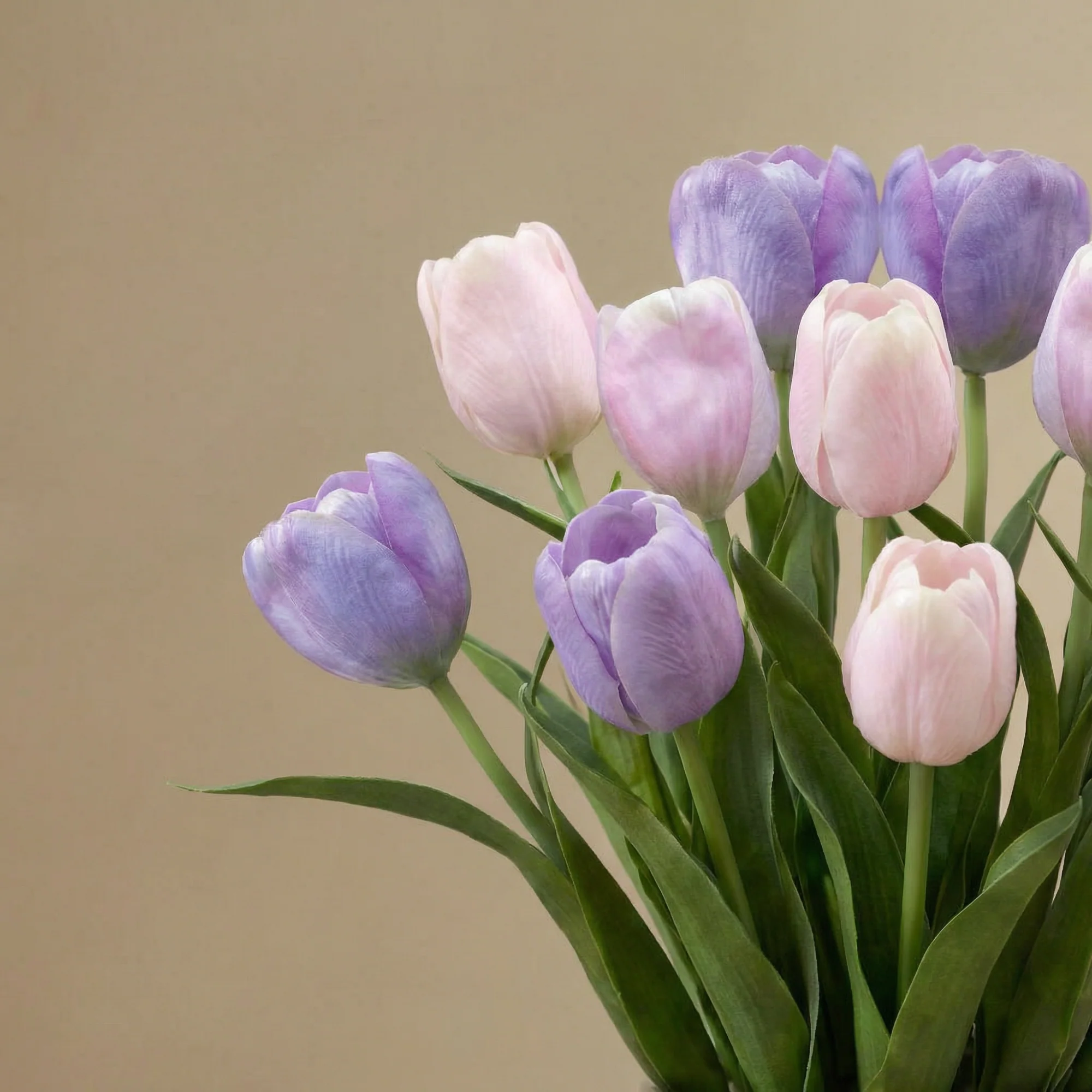 Bouquet de Tulipes Priscilla - Image 3