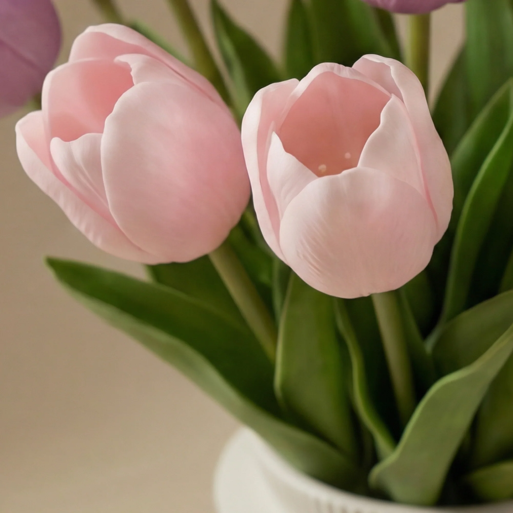 Bouquet de Tulipes Priscilla - Image 4