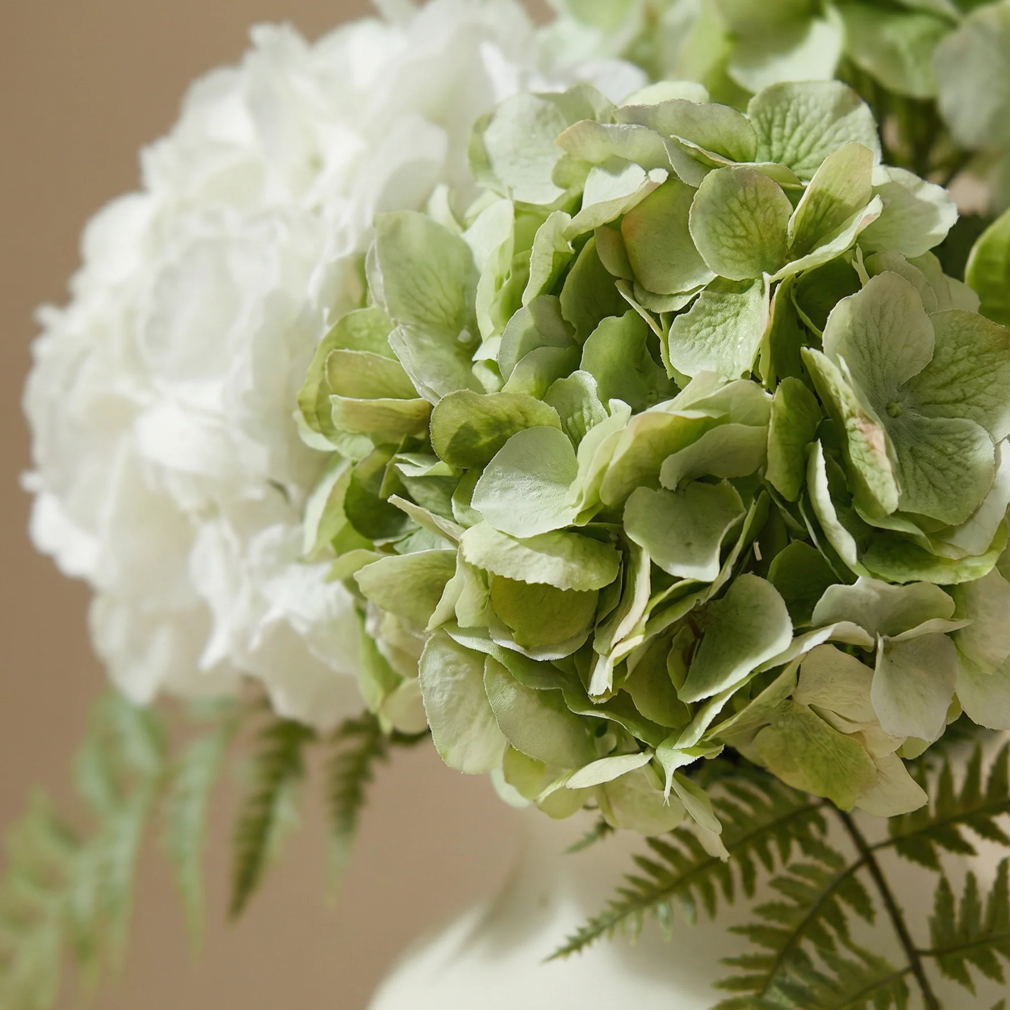 Bouquet d'Hortensias Vireya - Image 3