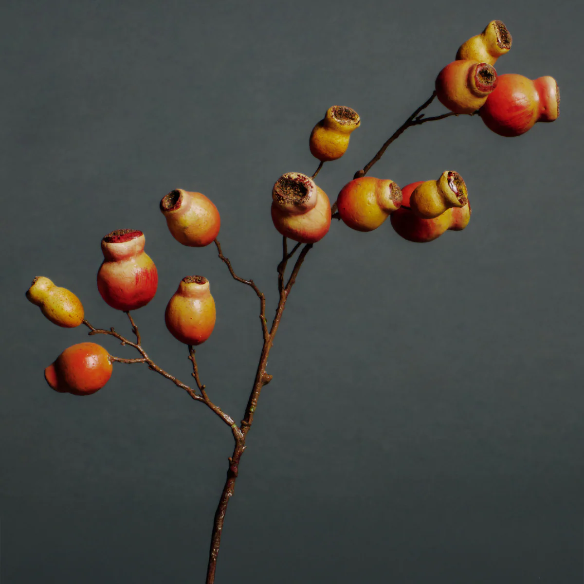 Miniature 2