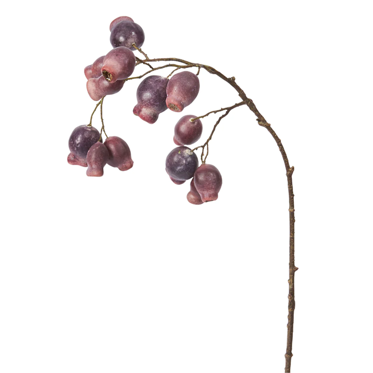 Branche Églantier - Image 3