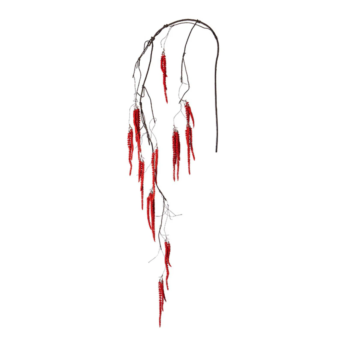 Feuillage Amaranthus Tombant - Image 3