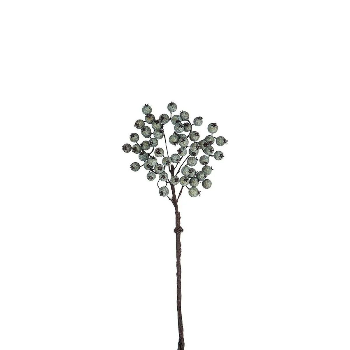 Branche de Baies - Image 2