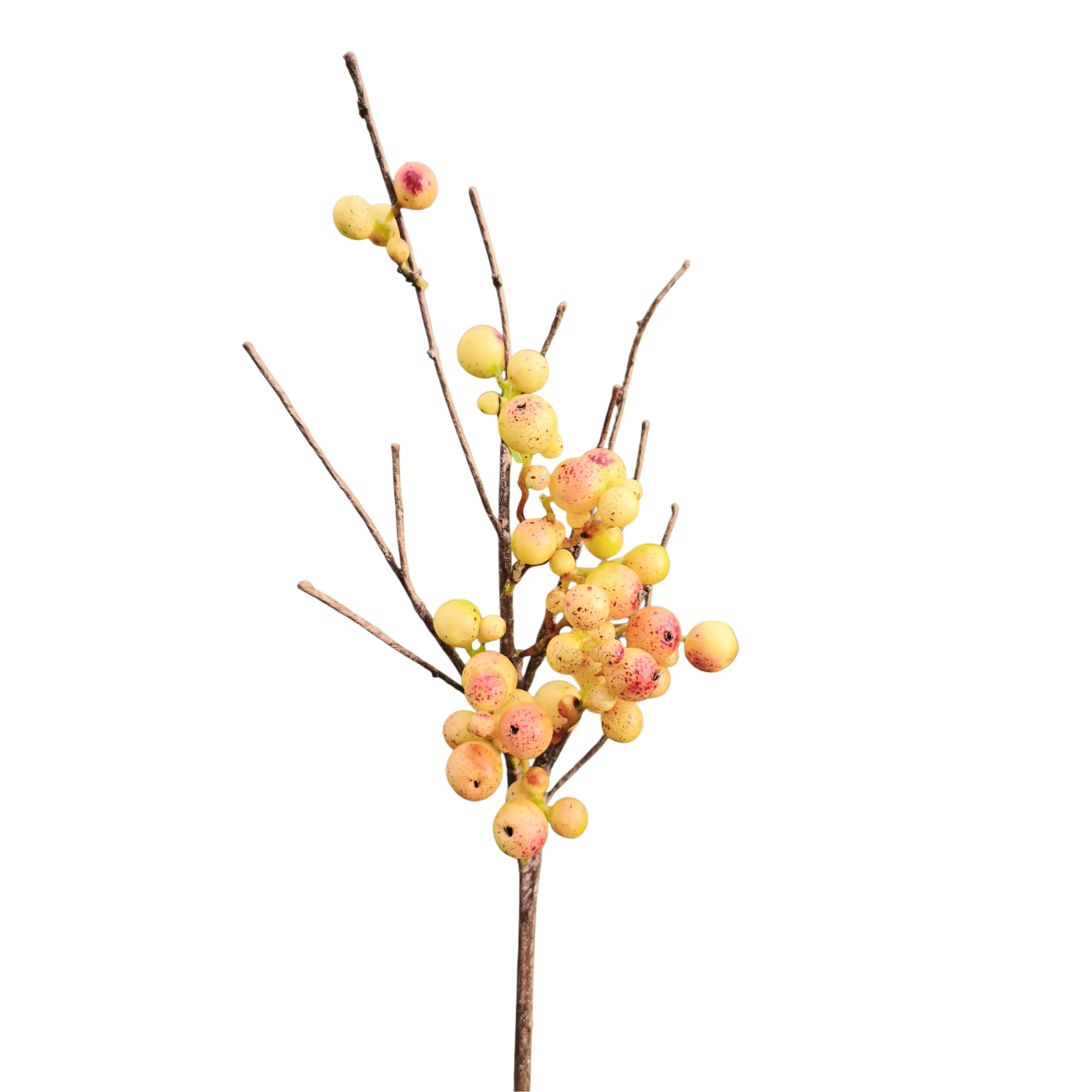 Branche de Baies sauvages - Image 3