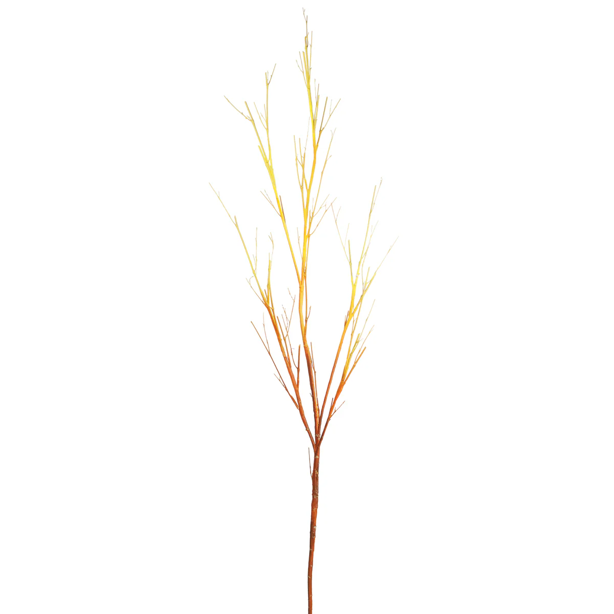Branche de bois