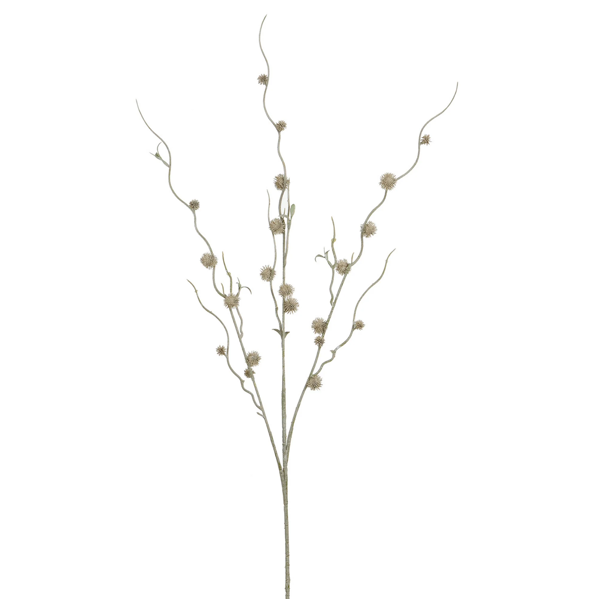 Branche de Chardon boule 88 cm - Image 4