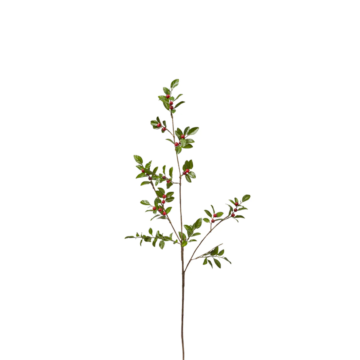 Branche de Baies avec Feuilles - Image 3