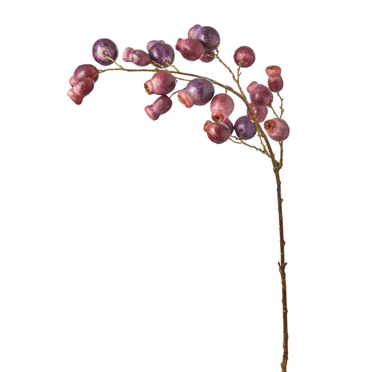 Branche Églantier - Image 3