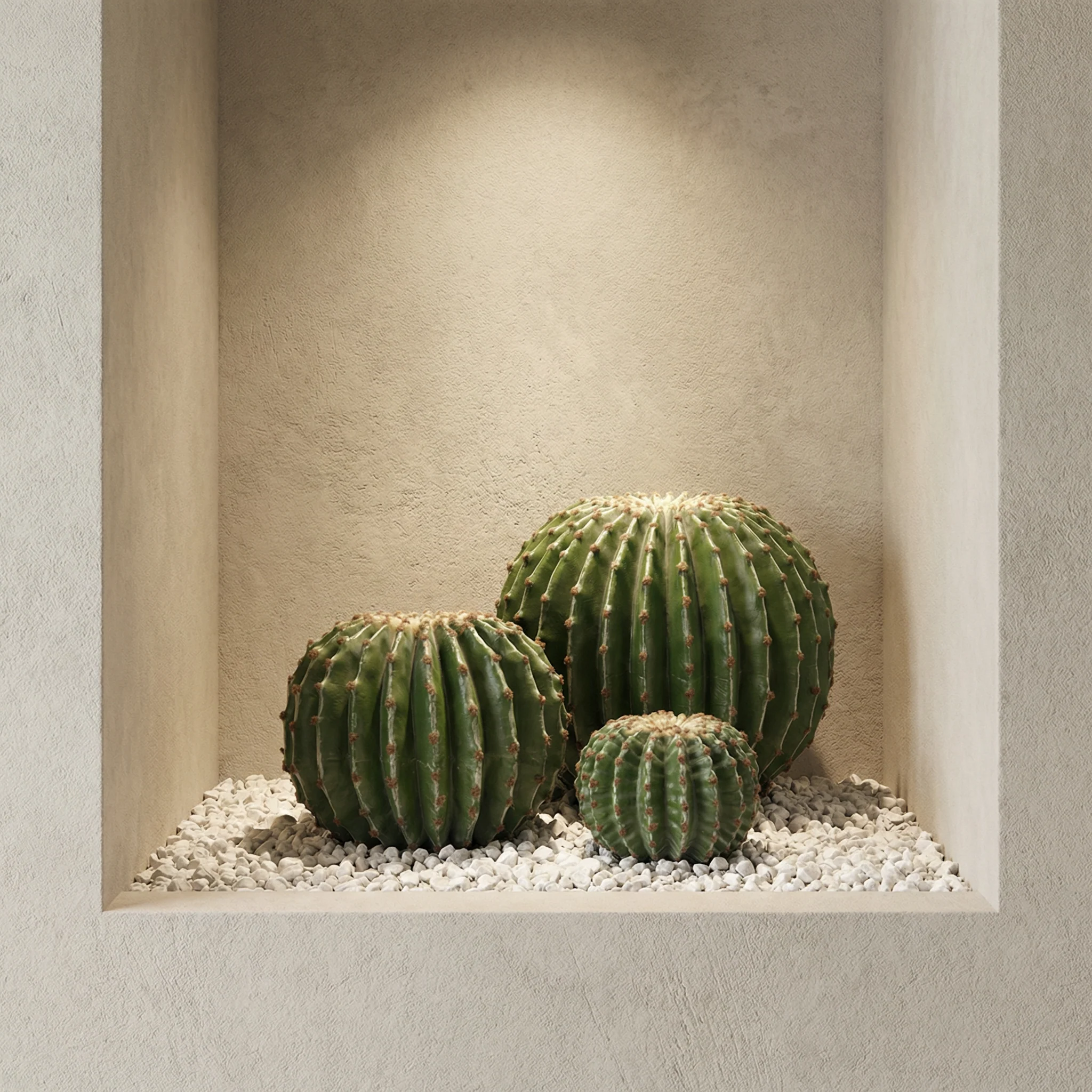 Cactus rond en pot 22 cm - Image 2