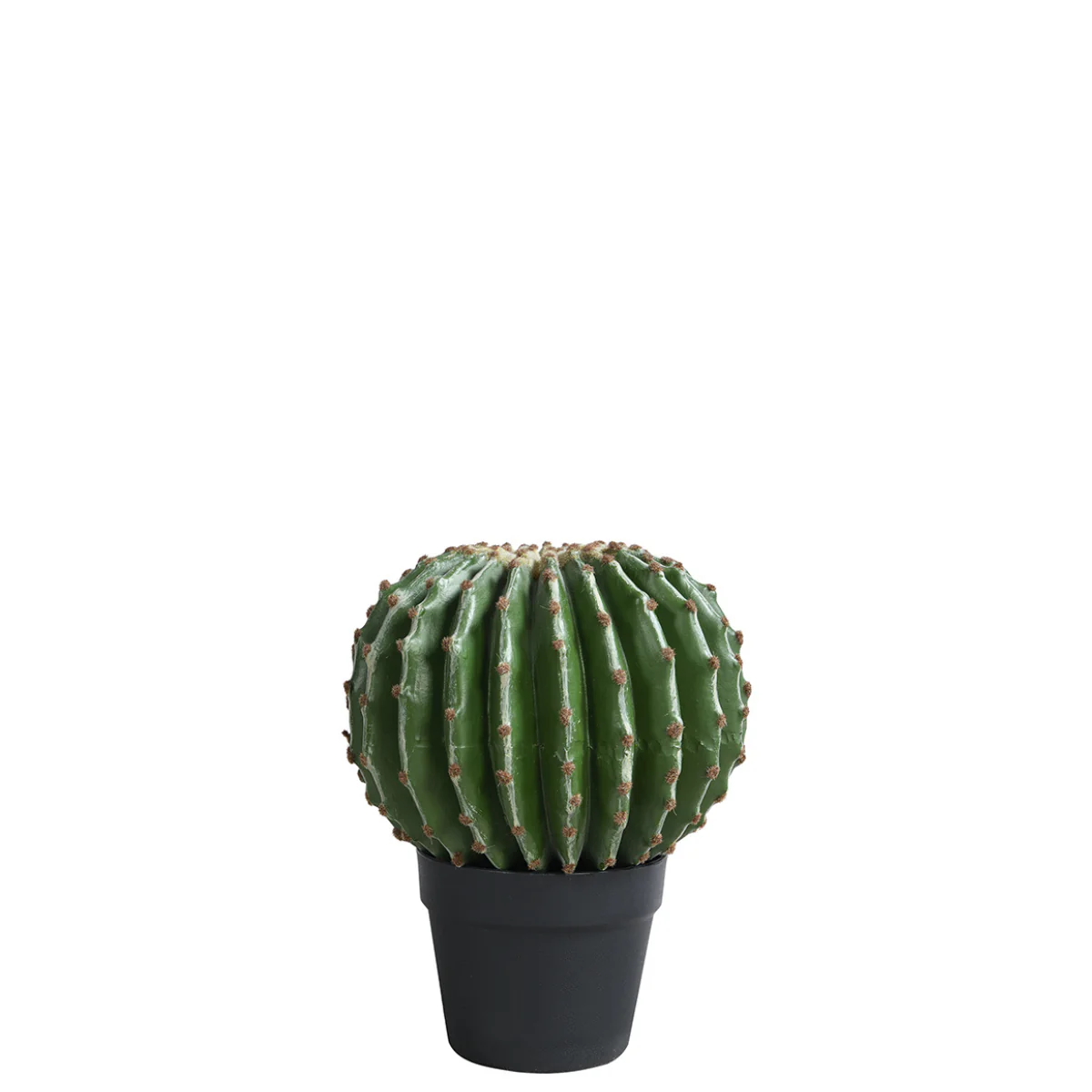 Cactus rond en pot 31 cm