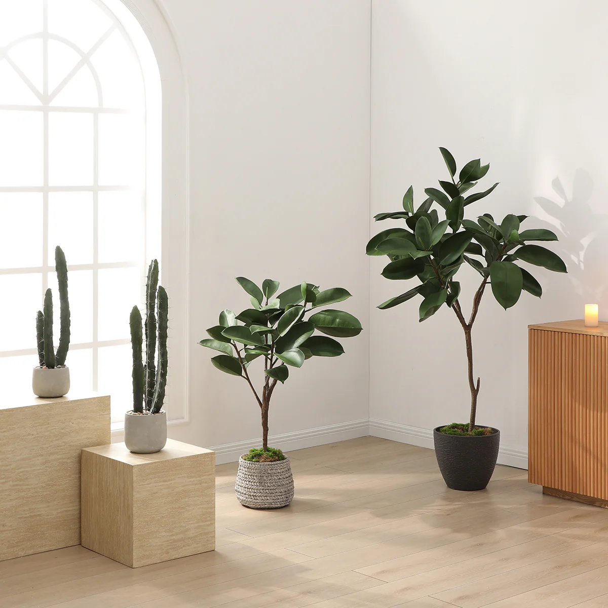 Cactus dans un pot en céramique 64cm - Image 3