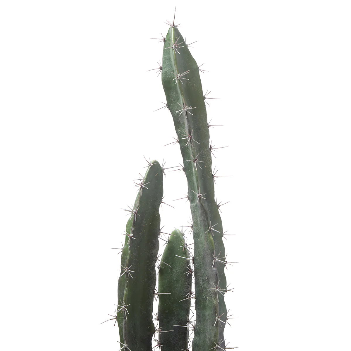 Cactus dans un pot en céramique 64cm - Image 4