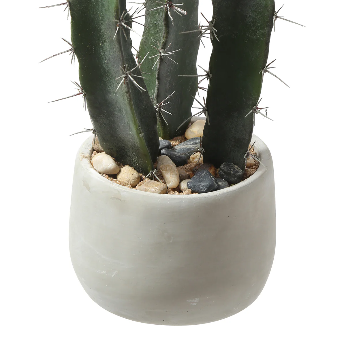 Cactus dans un pot en céramique 64cm - Image 5