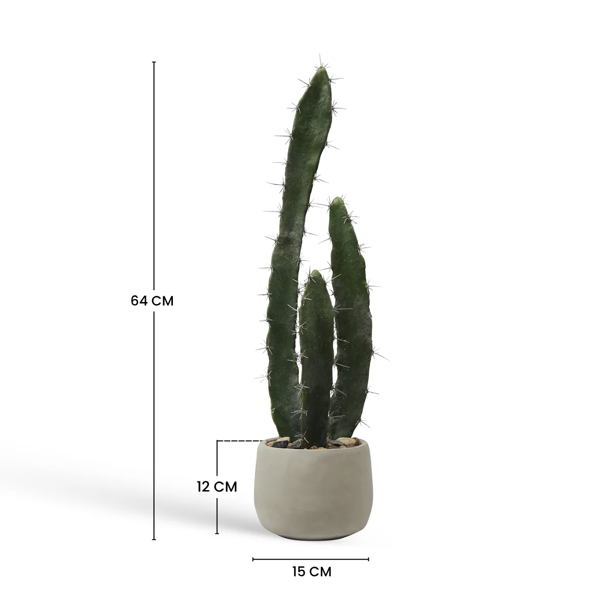 Cactus dans un pot en céramique 64cm - Image 6
