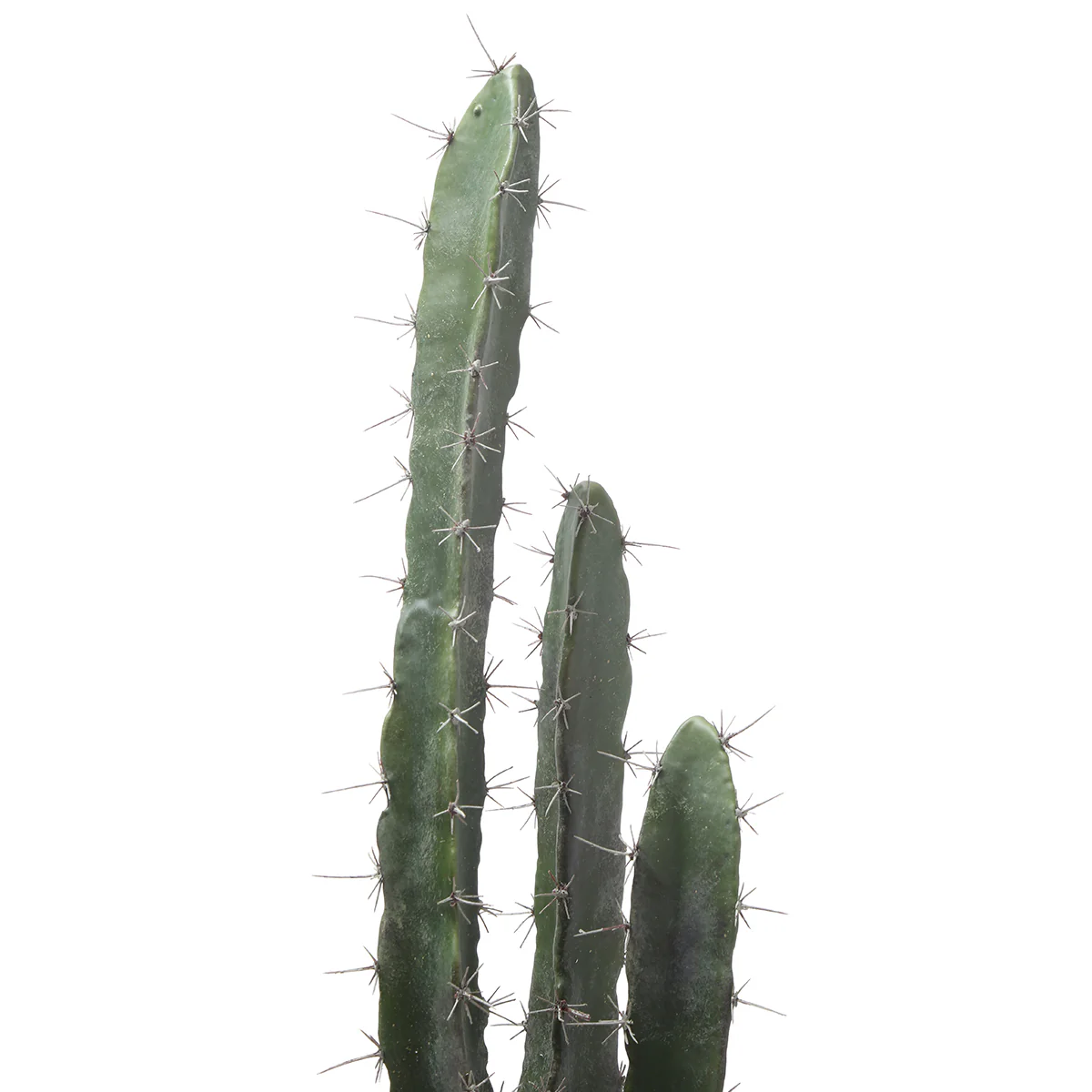 Cactus dans un pot en céramique 80cm - Image 4