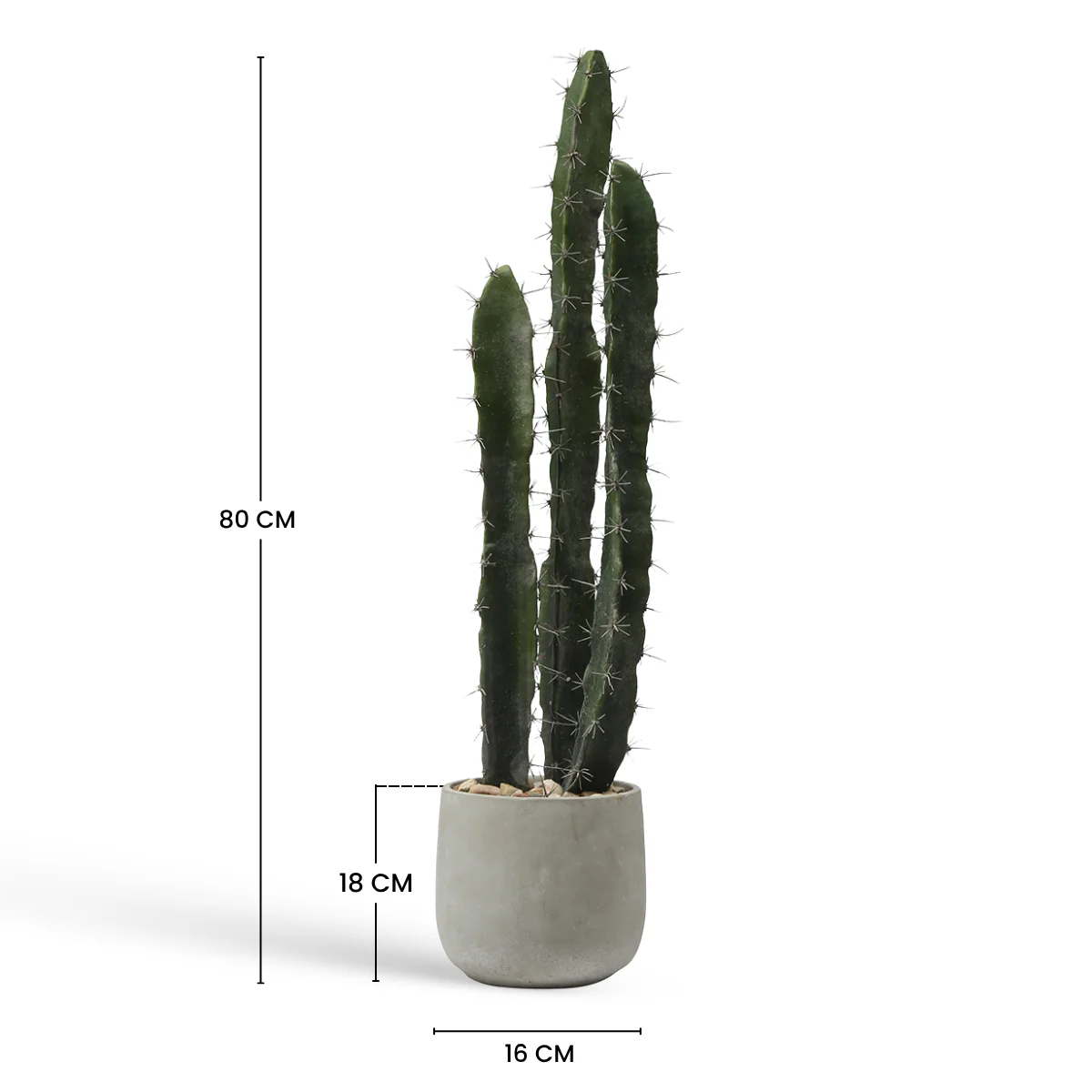 Cactus dans un pot en céramique 80cm - Image 6