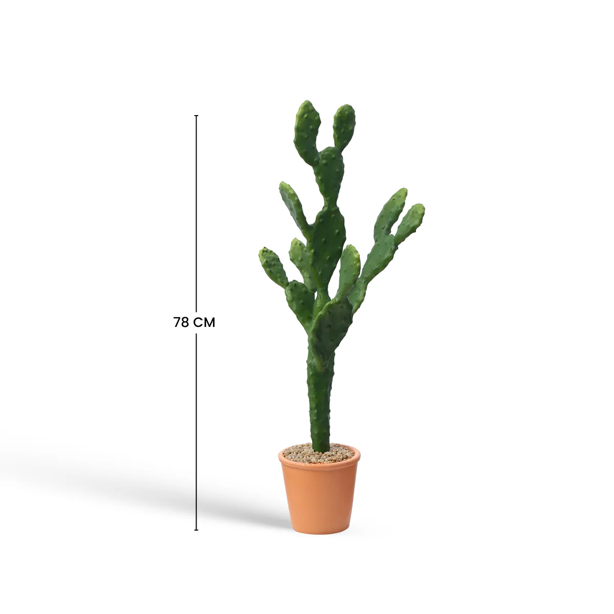 Cactus en Pot 78 cm - Image 5
