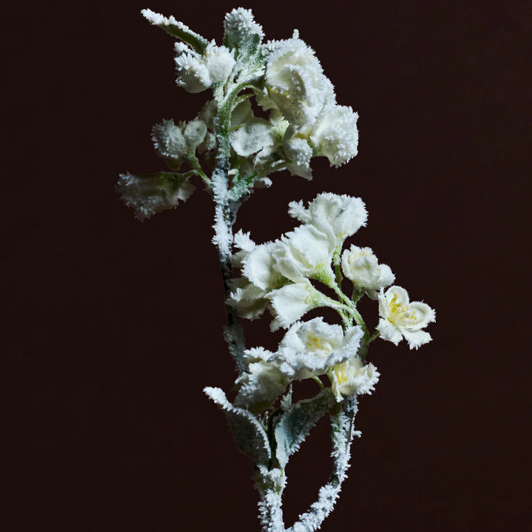 Tige de Cerisier des Neiges - Image 2