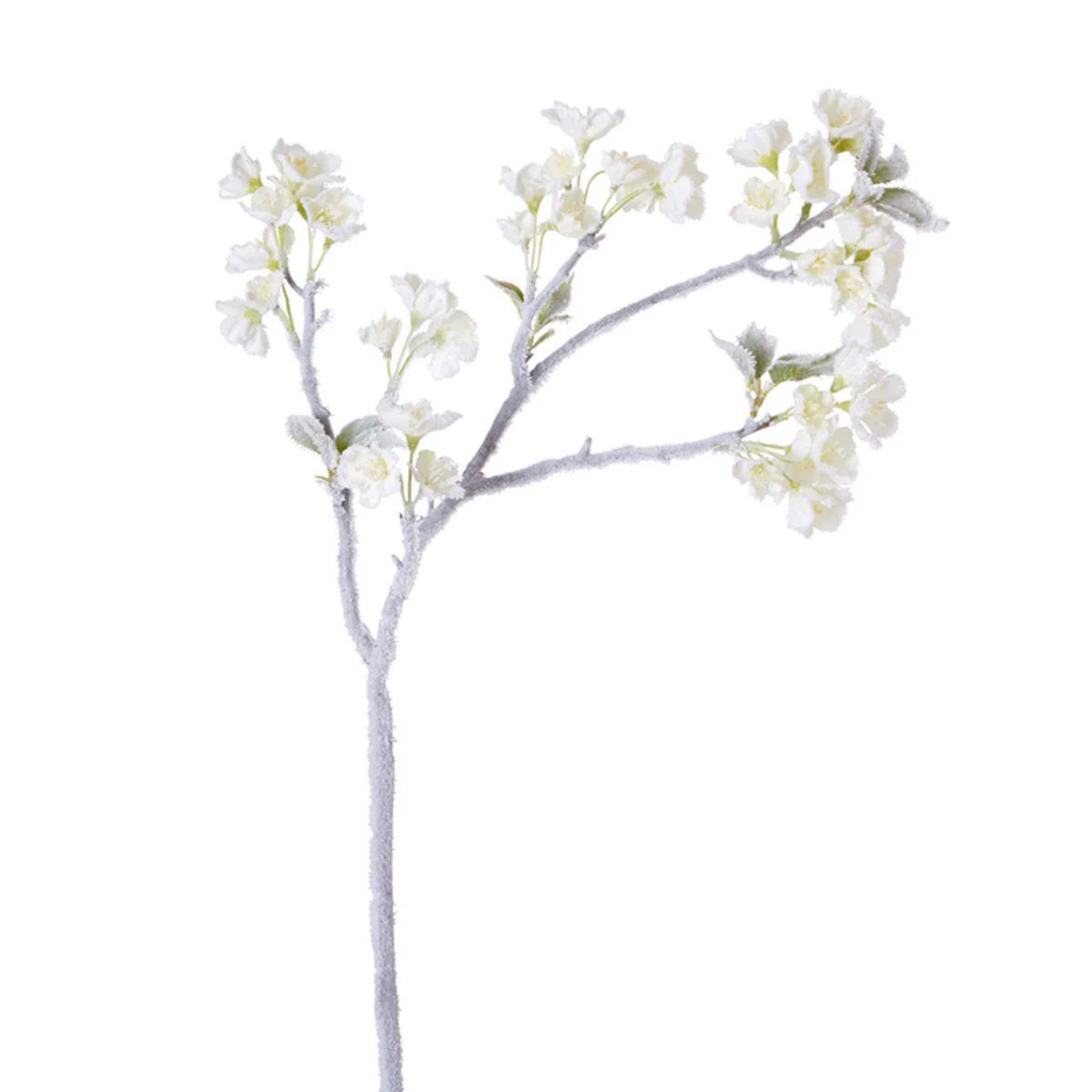 Tige de Cerisier des Neiges - Image 2