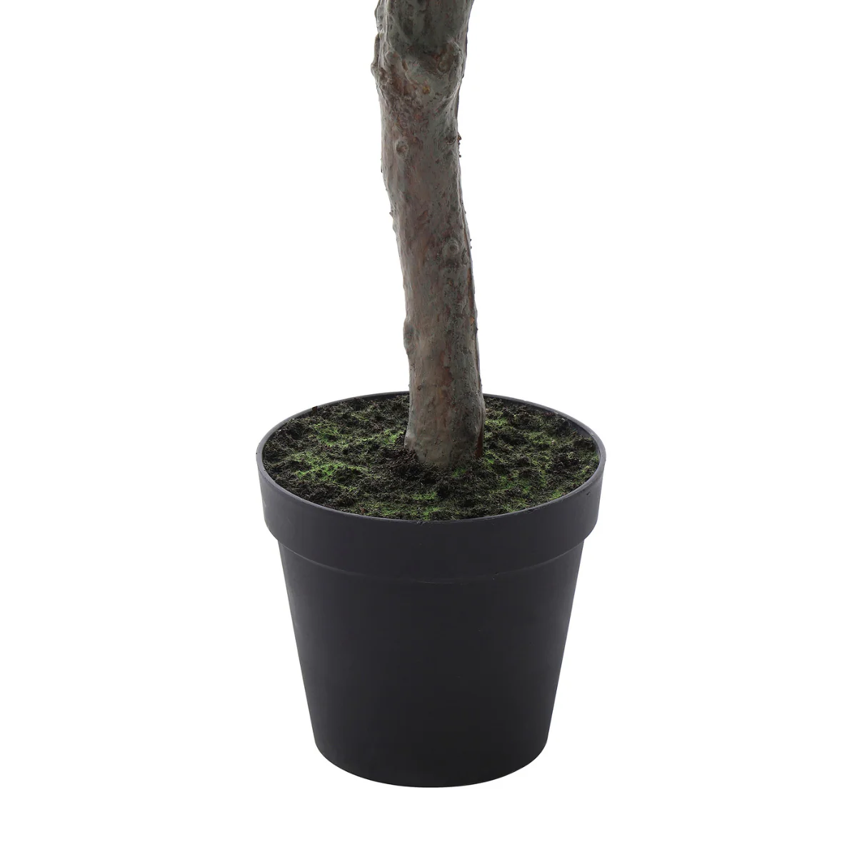 Cerisier en fleurs en pot 210cm - Image 5