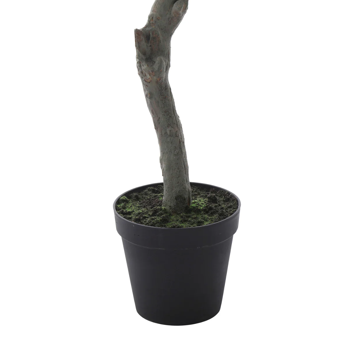 Cerisier en fleurs en pot 245 cm - Image 4